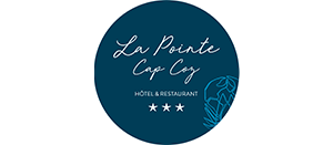 HÔTEL DE LA POINTE DU CAP COZ